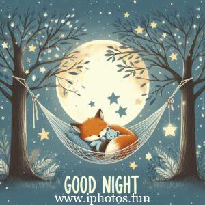 Cute illustration of a fox and teddy bear sleeping in a hammock under the moon and stars