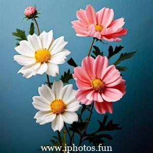 Pink flowers with water droplets glistening in the sunlight, adding a touch of freshness and beauty to the scene