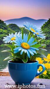 Cheerful morning scene with yellow flowers and a happy sun, conveying a warm greeting